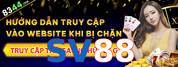 SV88